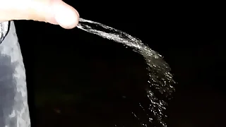 1790 public porn videos